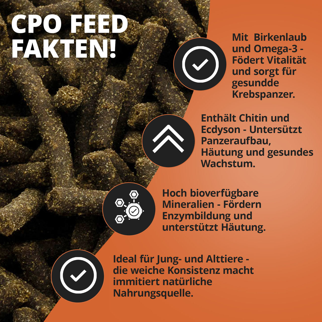 NatureHolic Cambarellus Feed – Premiumfutter für CPO & Zwergkrebse
