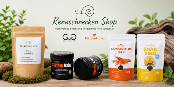 Was fressen Rennschnecken?