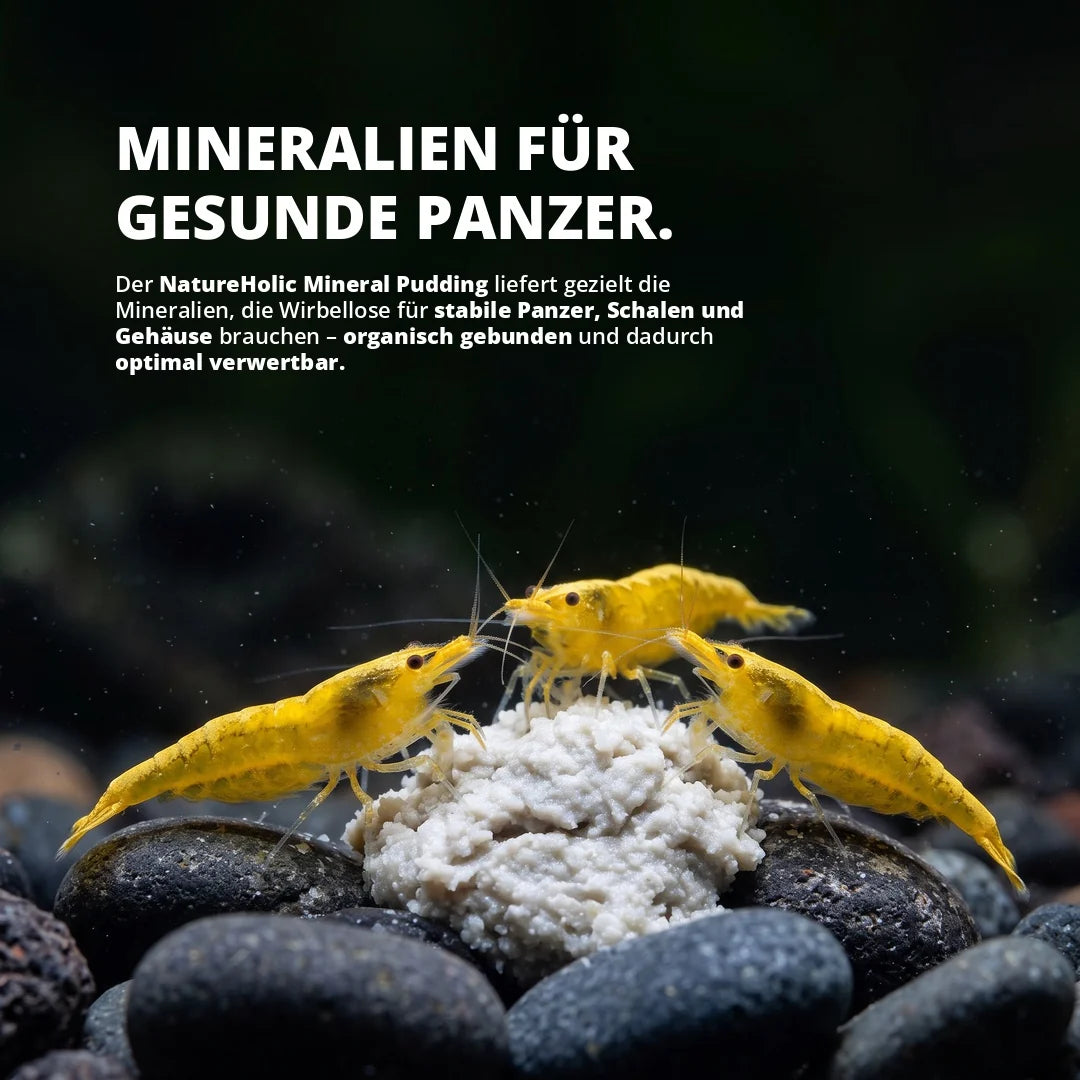 NatureHolic – Mineral Pudding Wirbellosefutter – 50 ml