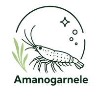 Gesunde und vitale Amanogarnelen
