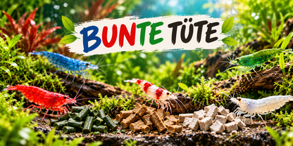 Bunte Tüte – NatureHolic Garnelenfutter-Probierpaket, 3 × 3 g