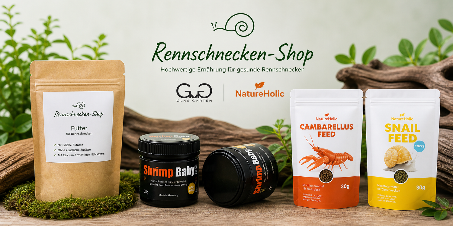unterschiedliche arten Garnelenfutter Sticks