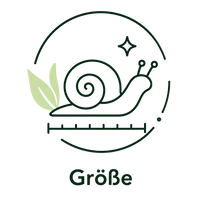 Gesunde und vitale Geweihschnecken