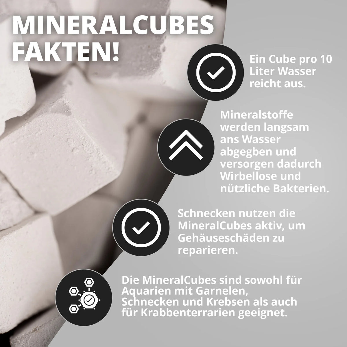 NatureHolic MineralCube Pure Mineral – Mineralstoffversorgung für Garnelen, Schnecken und Krebse, 47 ml