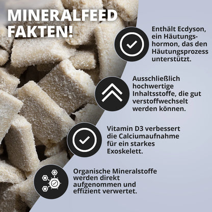 NatureHolic Mineralfeed Garnelenfutter 30 g