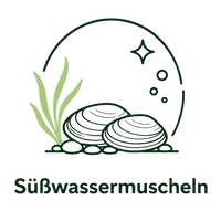 Gesunde und vitale Süßwassermuscheln