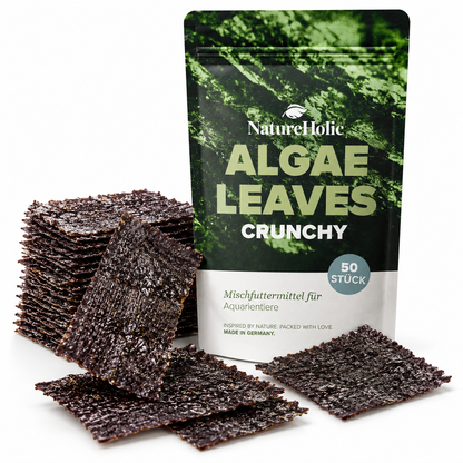 NatureHolic AlgaeLeaves – 50 natürliche Algenblätter für Garnelen, Schnecken und Zierfische