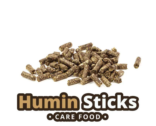 Produktfoto von Glasgarten Humin Sticks für Zwerggarnelen im Süßwasser Aquarium