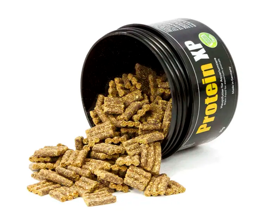 GlasGarten Protein XP – Proteinfutter für Garnelen & Wirbellose