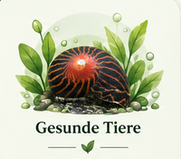 Für Fische, Garnelen & Schnecken