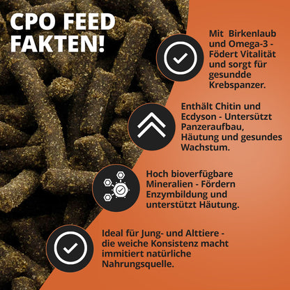 NatureHolic Cambarellus Feed – Premiumfutter für CPO & Zwergkrebse