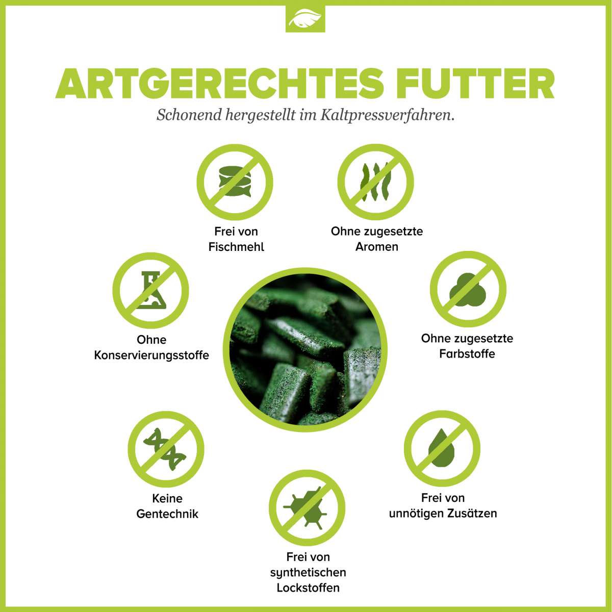 NatureHolic MainFeed Softpads – Hauptfutter für Garnelen im Süßwasseraquarium