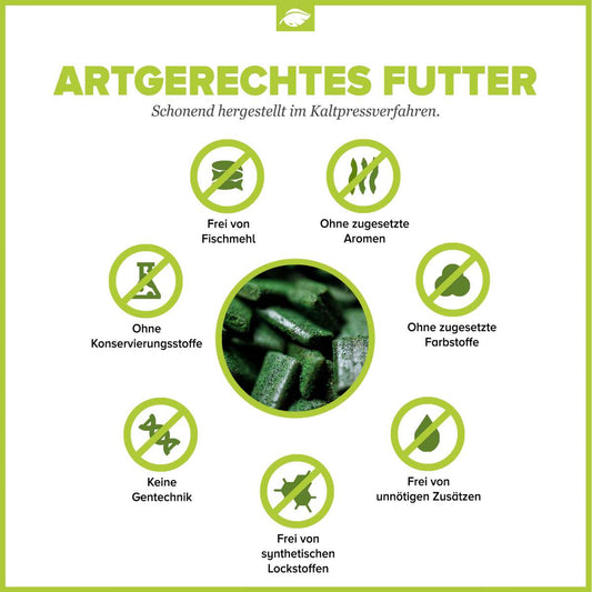NatureHolic MainFeed Softpads – Hauptfutter für Garnelen im Süßwasseraquarium