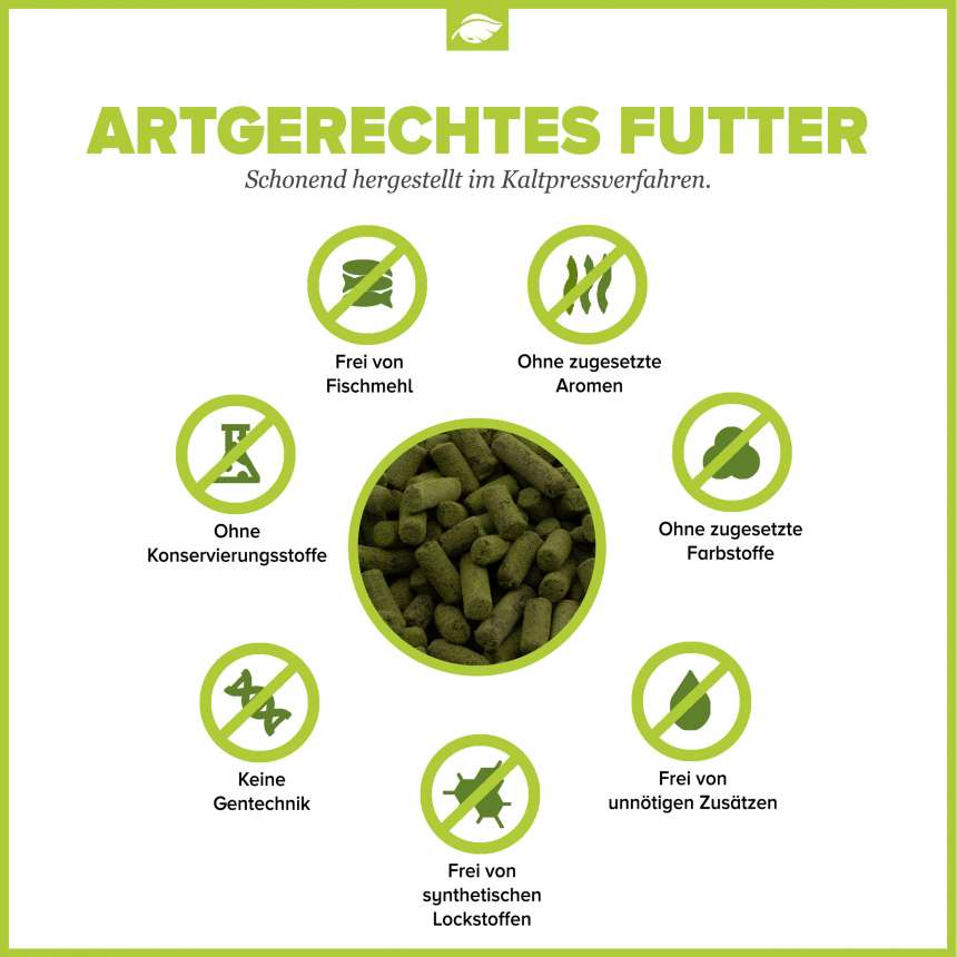 NatureHolic Snailfeed Sticks – Schneckenfutter für Rennschnecken & Aufwuchsfresser