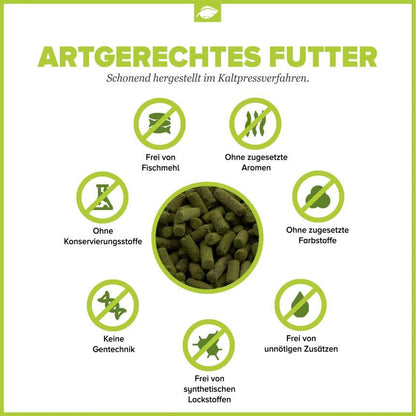 NatureHolic Snailfeed Sticks – Schneckenfutter für Rennschnecken & Aufwuchsfresser